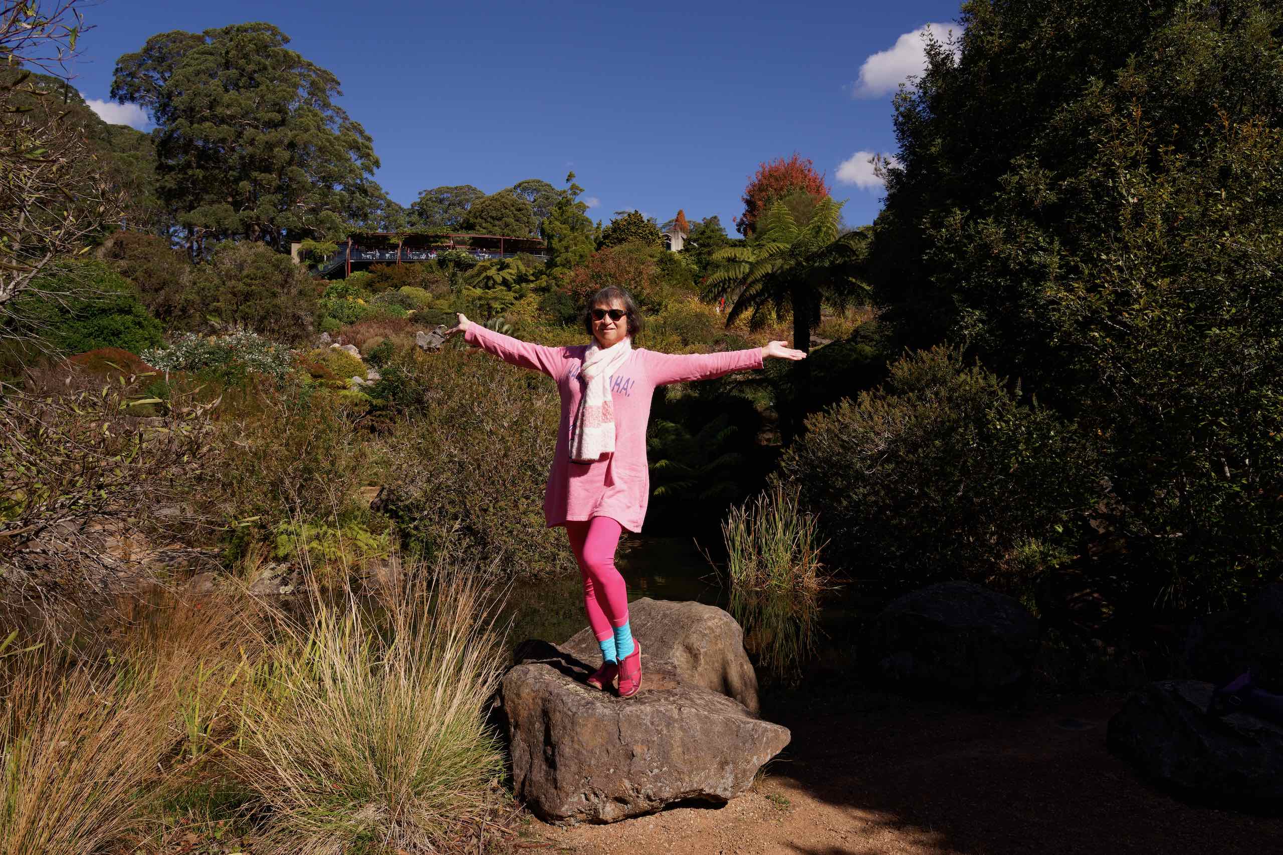 Mt Tomah Botanic Gardens featured image